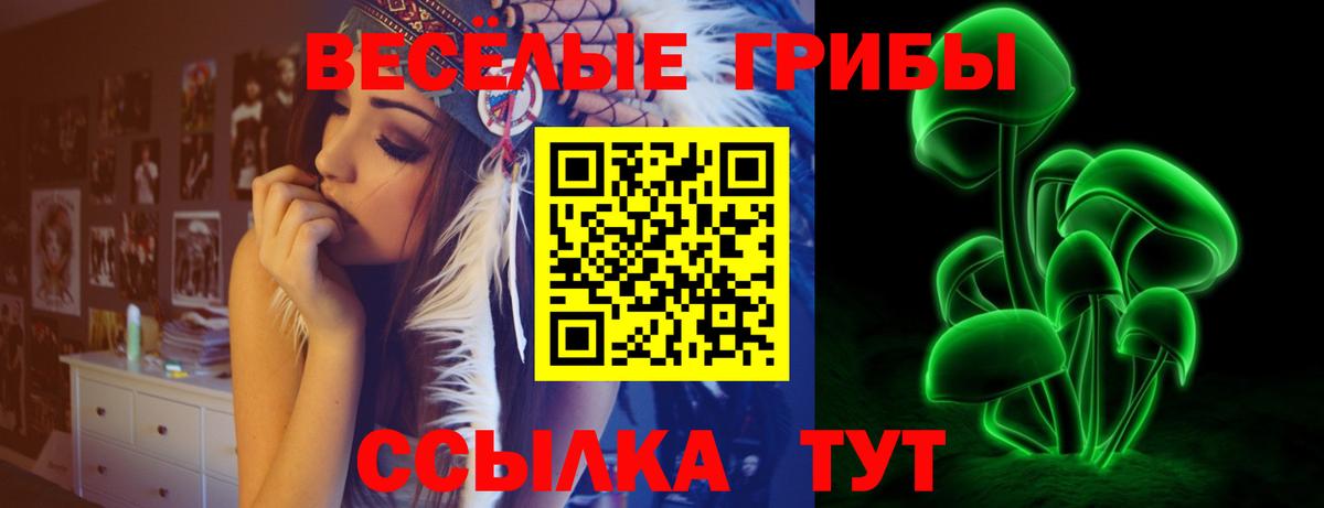 Галлюциногенные грибы Cubensis  Вход с VPN  Пушкино 